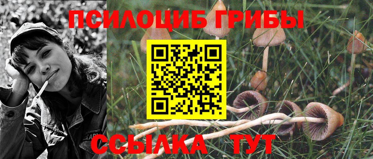 Галлюциногенные грибы Cubensis  Вход с VPN  Белореченск 