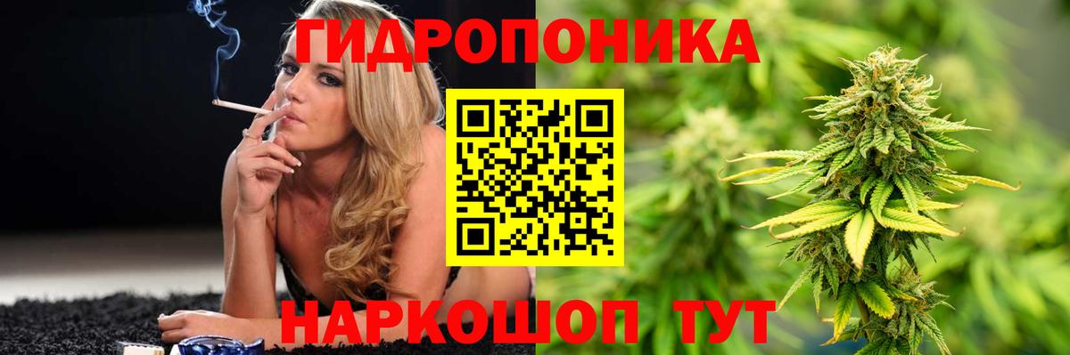 Бошки Шишки OG Kush  Канабис планчик  Белореченск  Бошки марихуана марихуана  Вход с VPN 